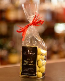 Les Trésors de Léonardo